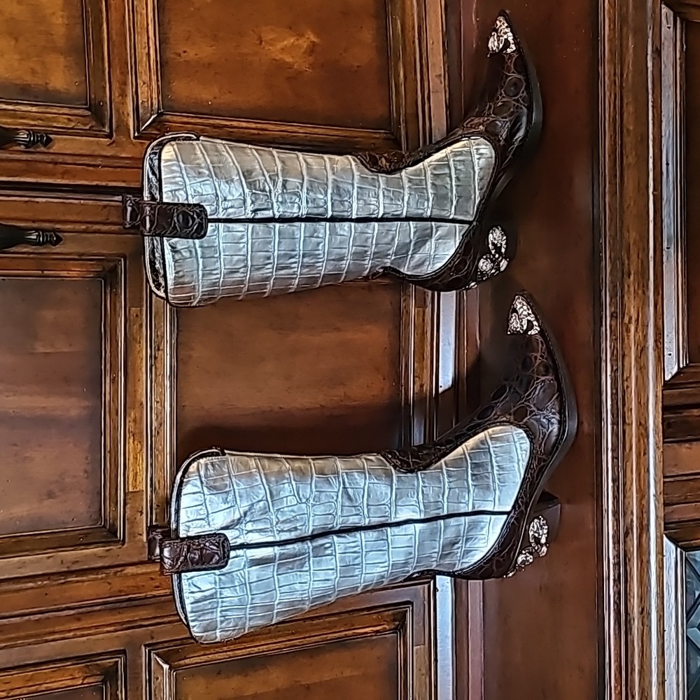 GIUSEPPE ZANOTTI DESIGN EMBELLISHED SILVER METALLIC & BROWN CROC BOOT! 7M - NIB! - Picture 2 of 9